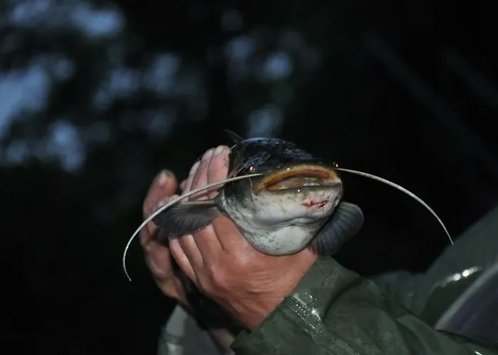 农家乐 & Przystan Marina - Agrokeya Chorzepowo *