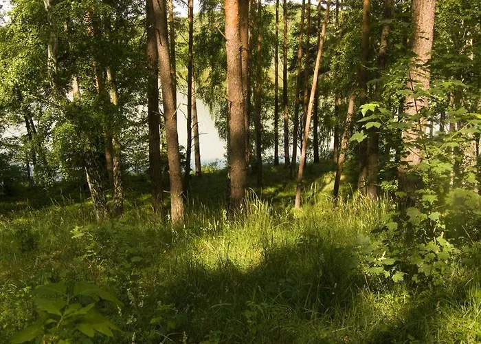 & Przystan Marina - Agrokeya Chorzepowo